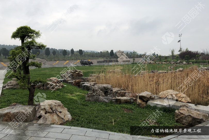 力诺23.jpg