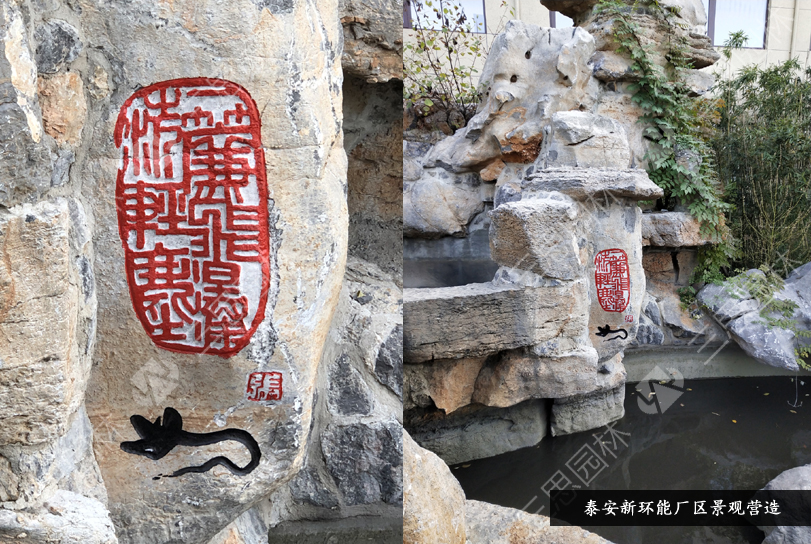 泰安新环能41.jpg