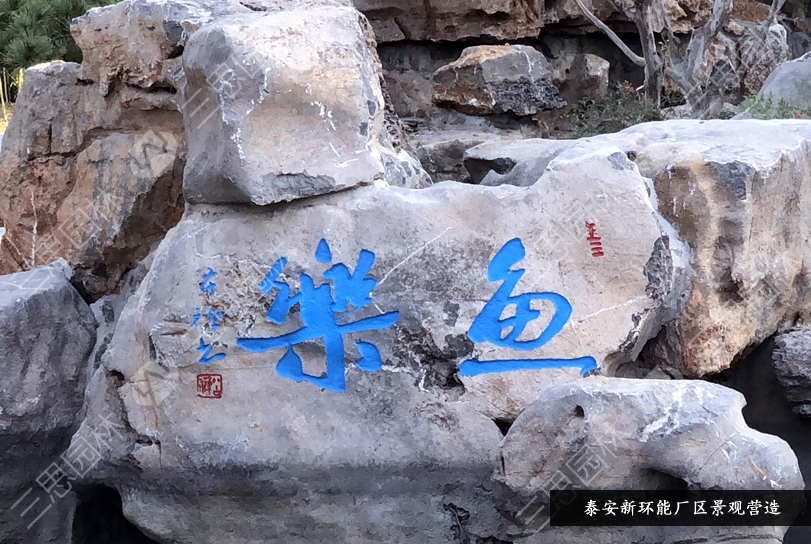 泰安新环能44.jpg