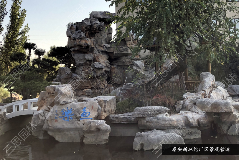 泰安新环能45.jpg