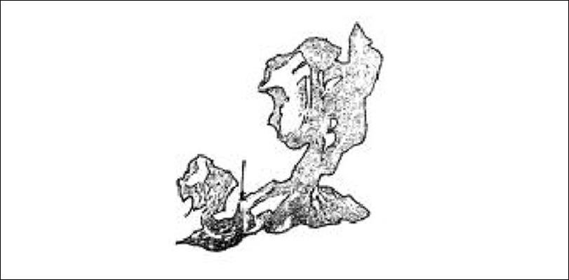 基本手法02.jpg
