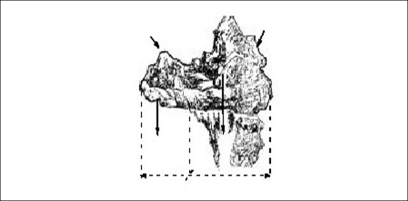 基本手法09.jpg