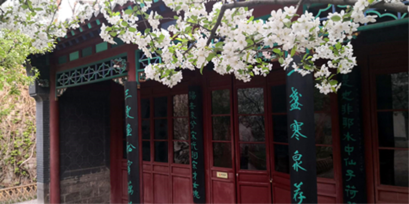 荷神节11.jpg