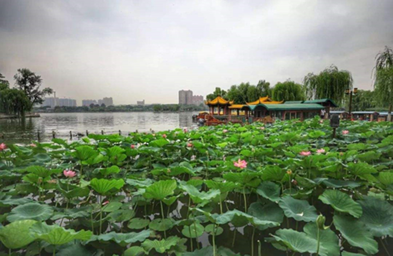 荷神节16.jpg